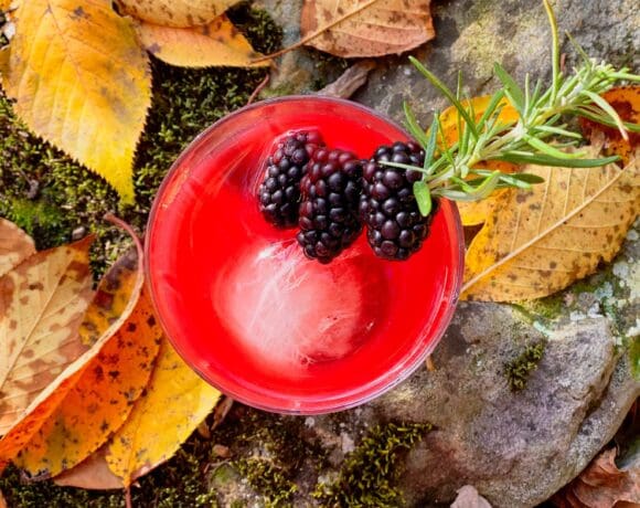blackberry bourbon sour cocktails sitting in leaves