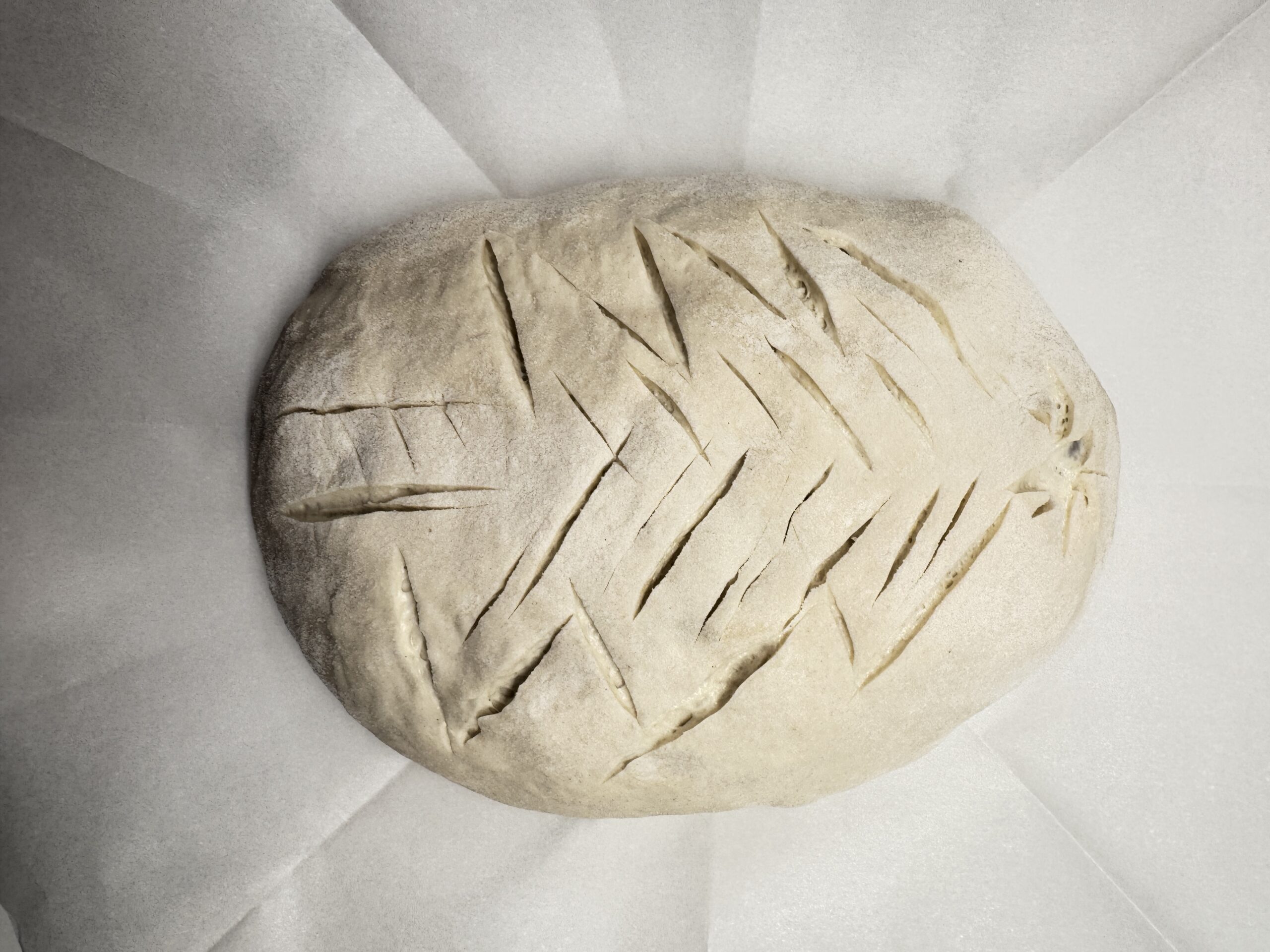 sourdough that has been scored.