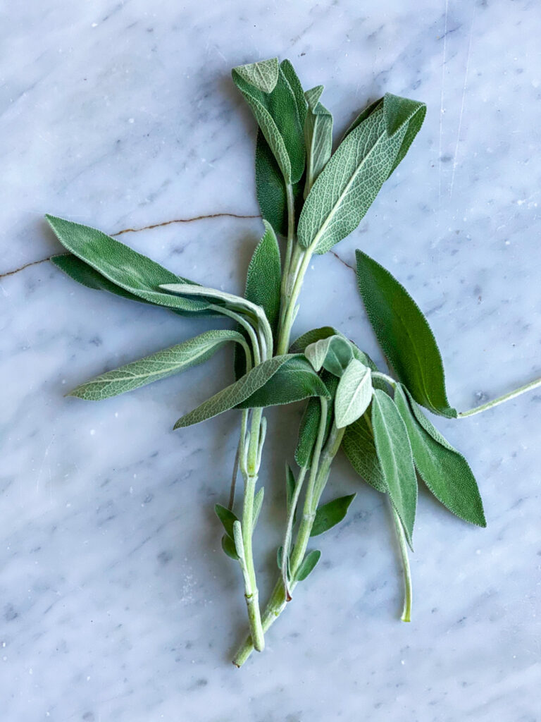 sage leaves