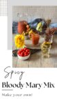 bloody mary pinterest pin