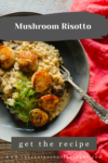 mushroom risotto with scallops and dill on top and an orange napkin