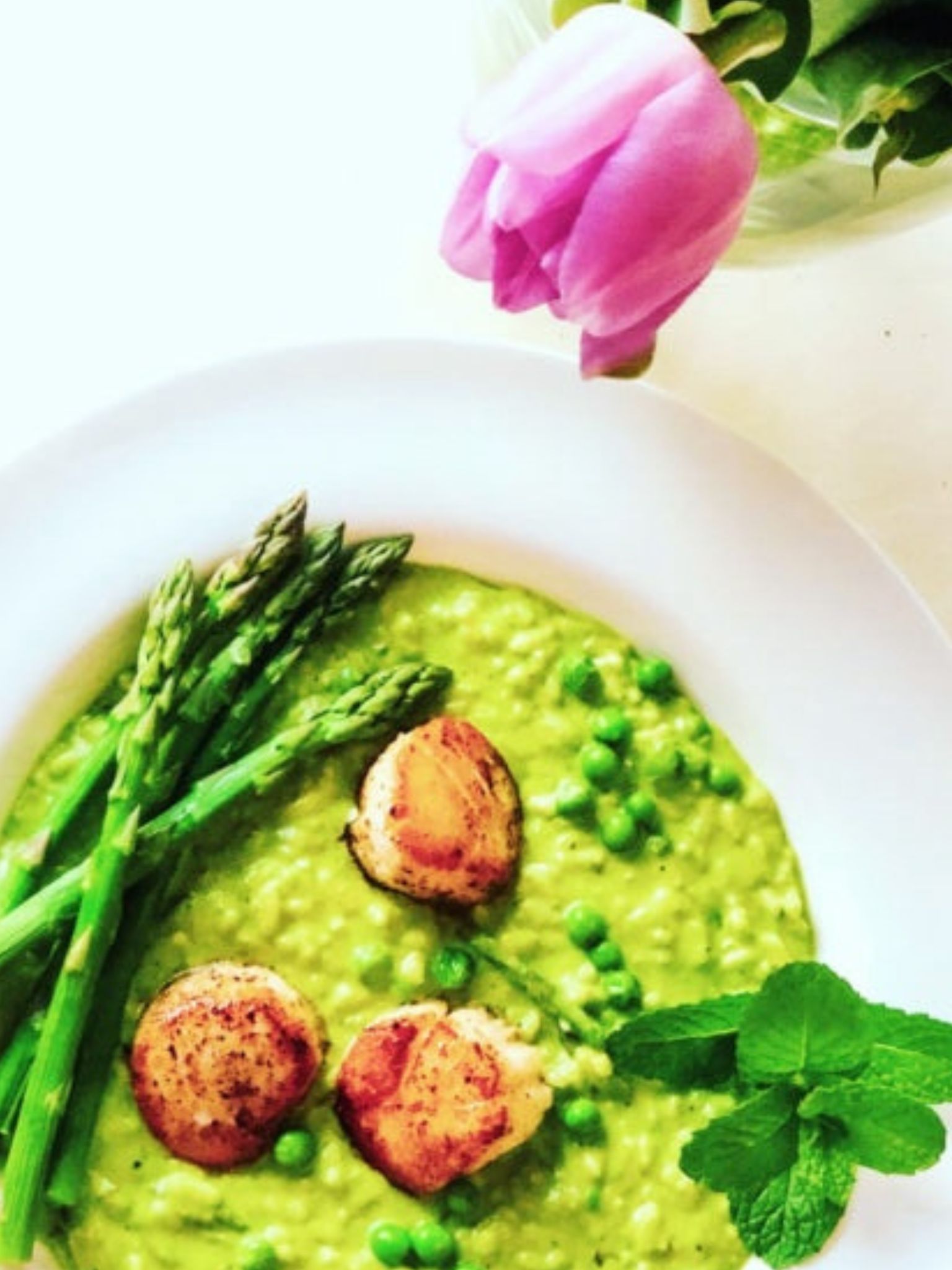 spring pea risotto and a pink tulip