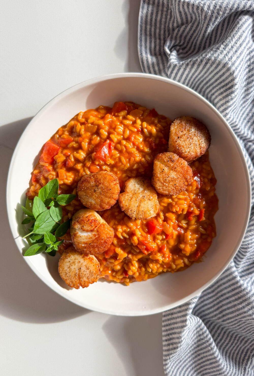 tomato risotto with scallops