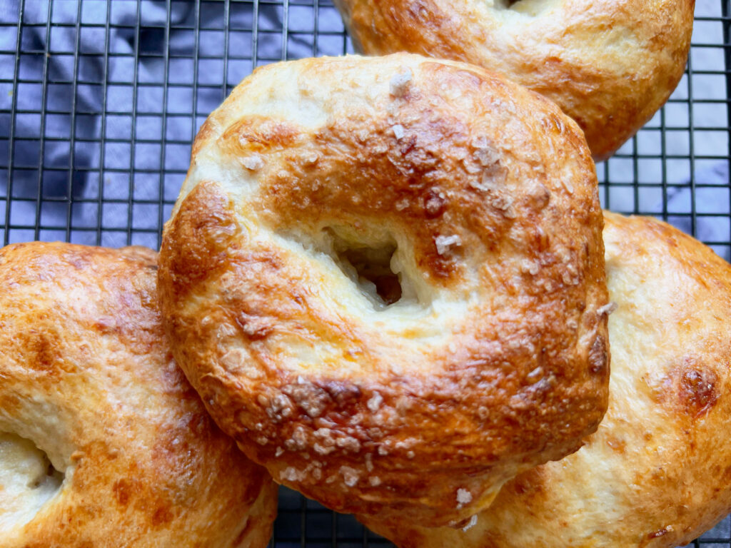 Top down view of crispy new york bagels