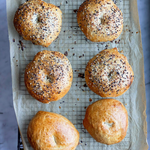 bagels cooling on parchment on a wire cooling wrack