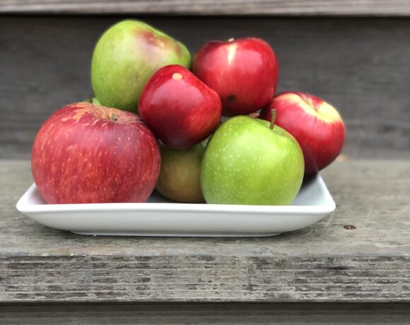 white plate with red and green apples on a step