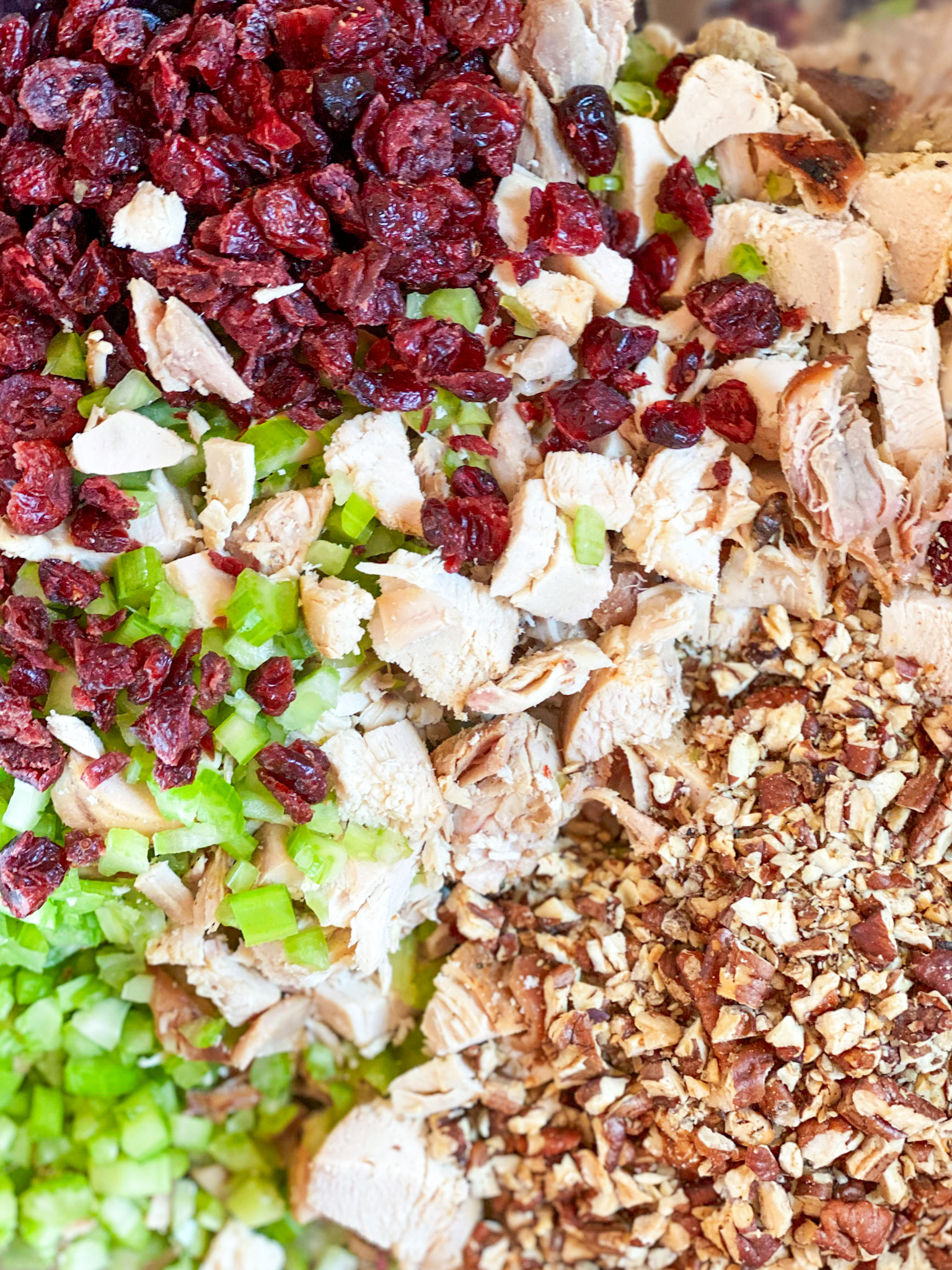 ingredients for chicken salad: chicken, pecans, celery and cranberries