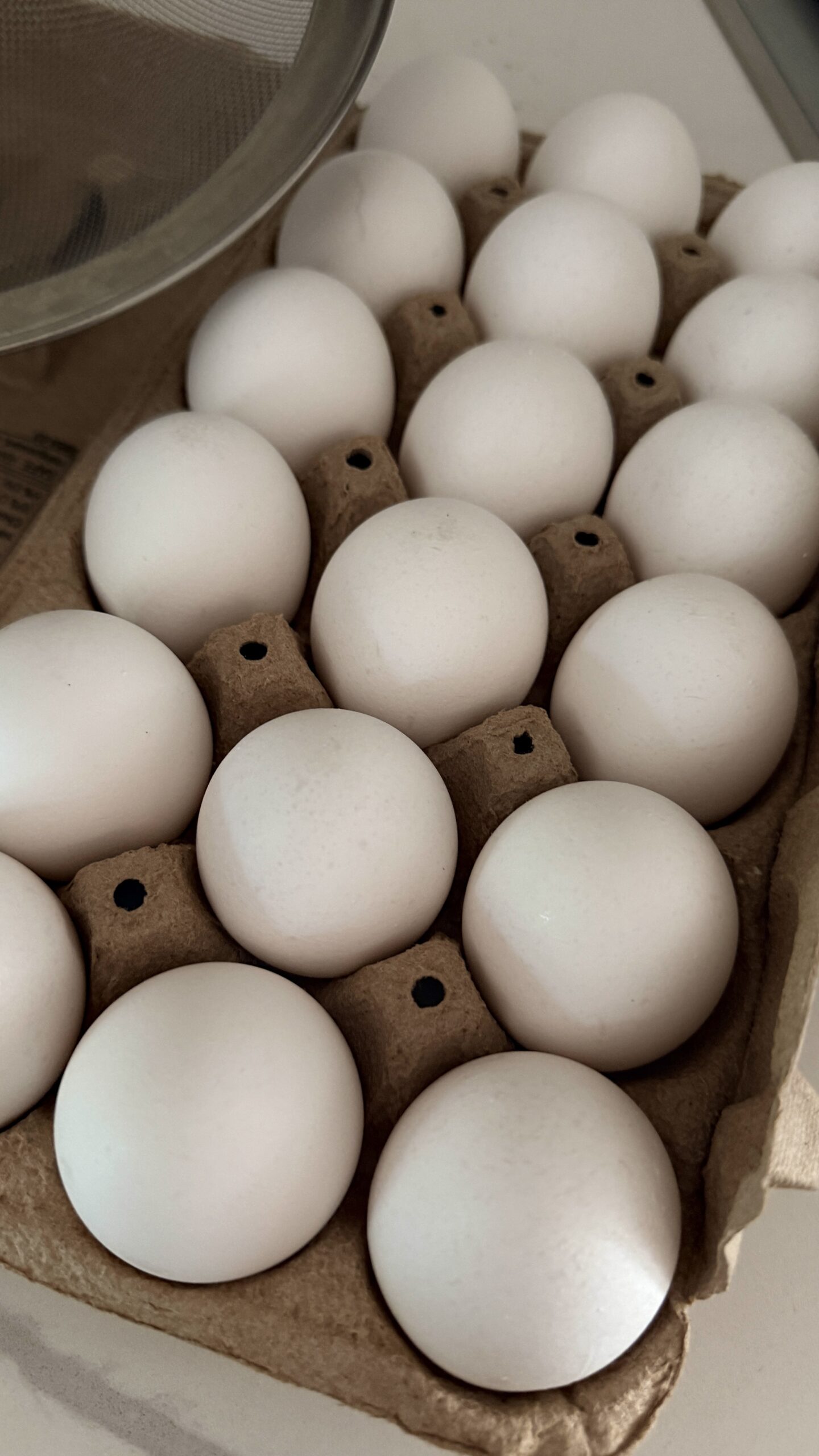 eggs in a carton
